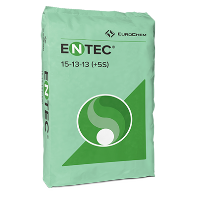 ENTEC 15-13-13 (+5S)